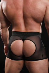 Sheer Black Groupie Shorts