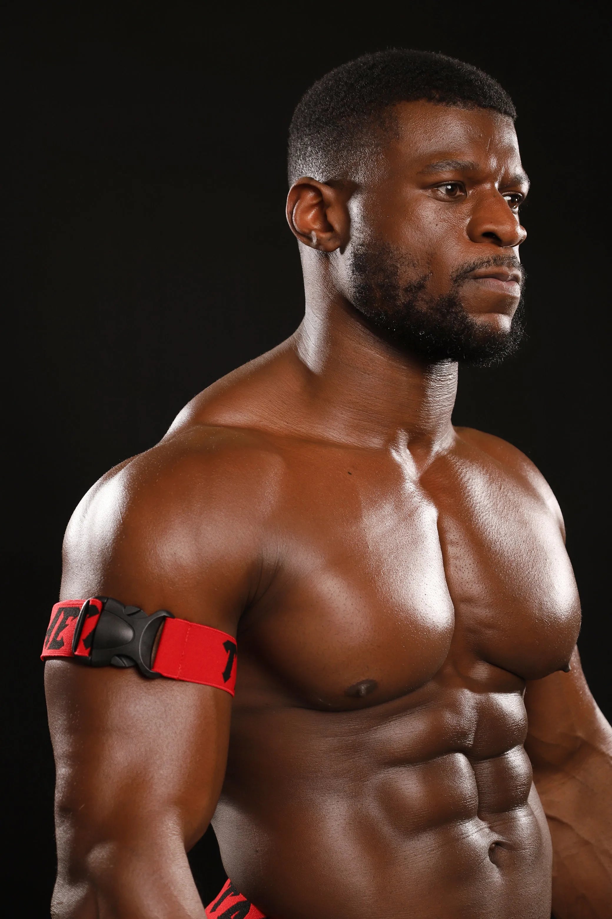 TWISTED METAL ARMBANDS (SET OF TWO)