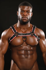 VARSITY BULLDOG HARNESS