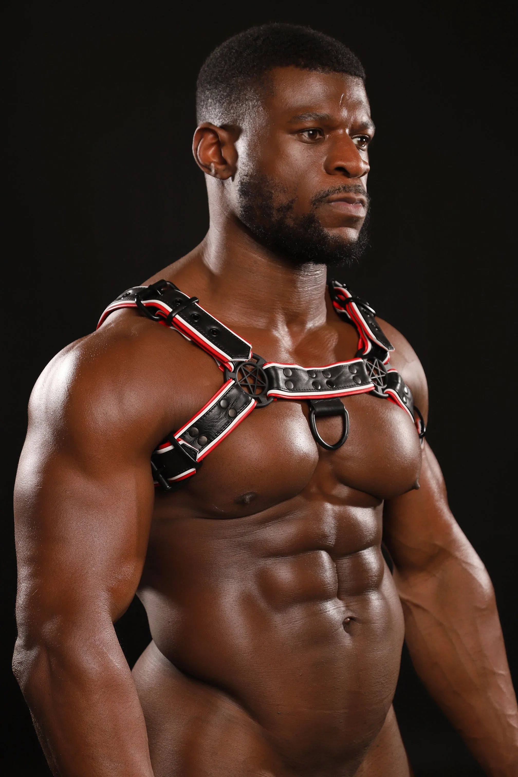 VARSITY BULLDOG HARNESS