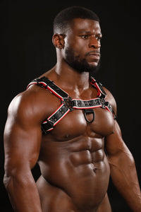 VARSITY BULLDOG HARNESS