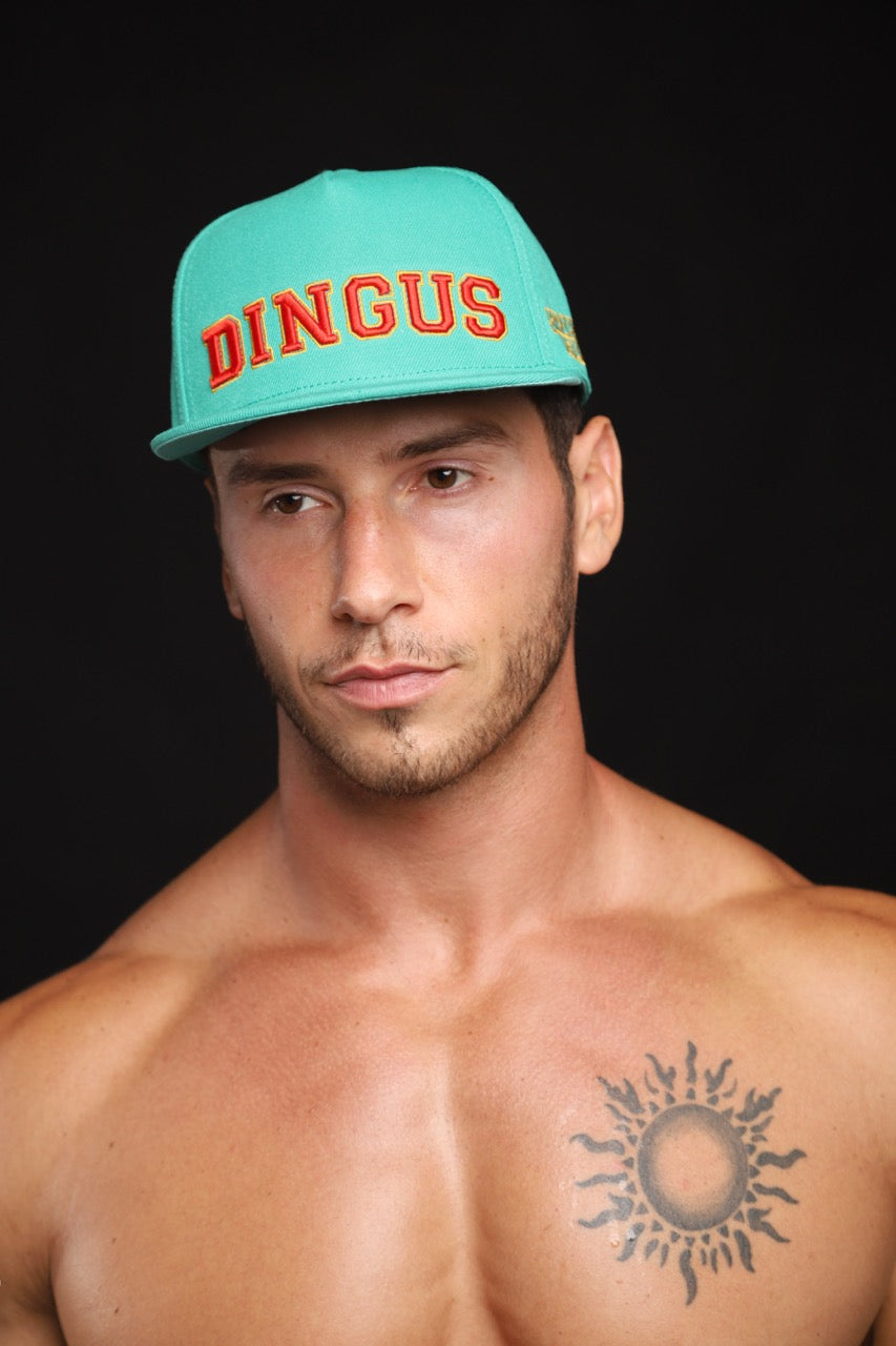 DINGUS FLAT BILL SNAPBACK