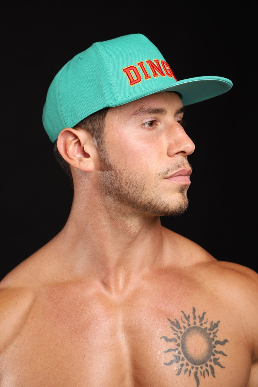 DINGUS FLAT BILL SNAPBACK